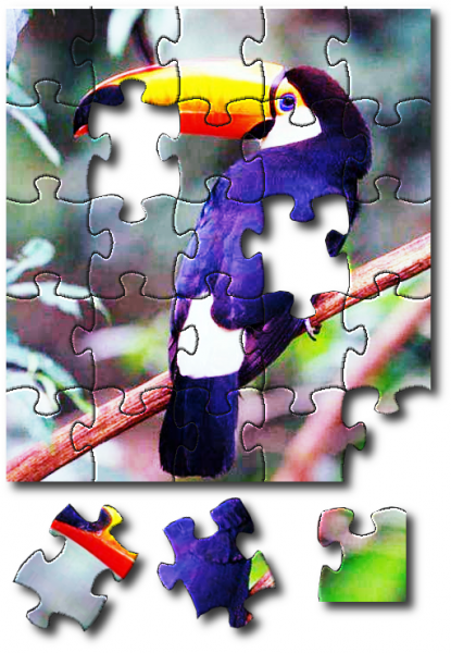 Quebra-Cabeça Personalizavel 10x15